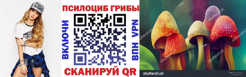 Галлюциногенные грибы ЛСД как найти закладки Орехово-Зуево